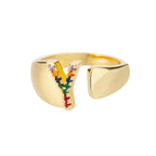 Brede gepersonaliseerde ring met regenbooginitiaal y