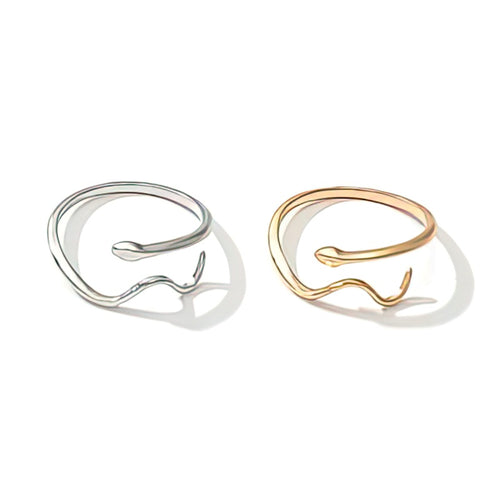 Ring Slang