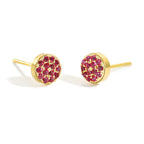 Oorknopjes met geboortesteen voor dames november