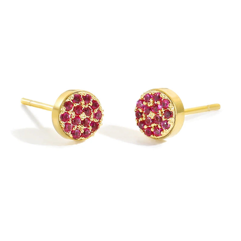 Oorknopjes met geboortesteen voor dames november