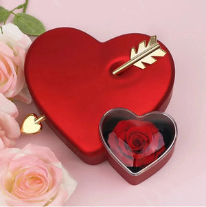 Eternelle Liefde Geschenkdoos met Roos en Ketting 