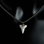 Collier avec Pendentif Dent de Requin Blanche